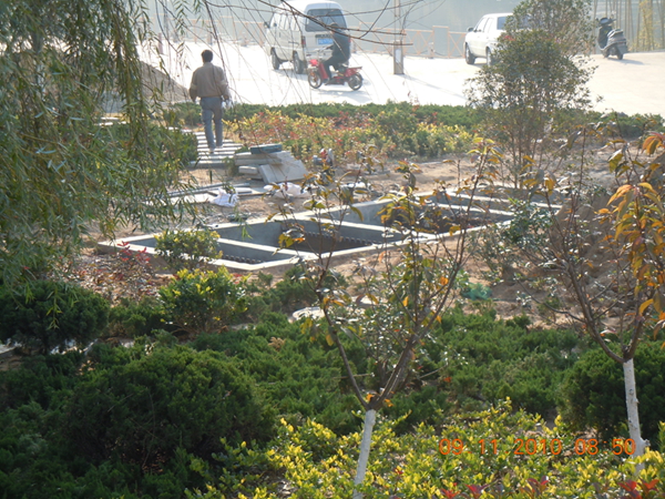 山東臨沂鳳凰閣生活污水處理工程