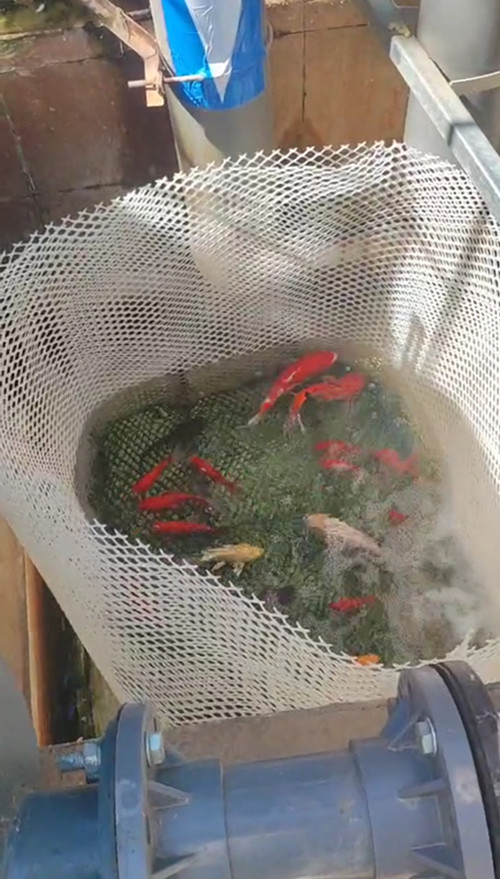  賀我公司承接改造速凍果蔬項目廢水處理出水達標